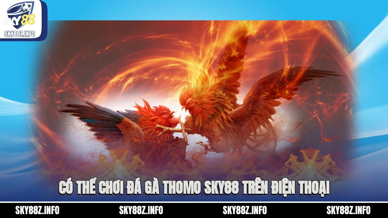 Có thể chơi đá gà Thomo Sky88 trên điện thoại