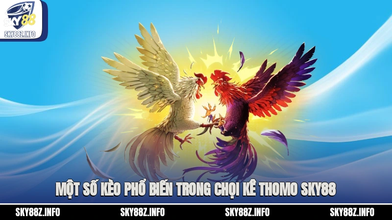 Một số kèo phổ biến trong chọi kê Thomo Sky88