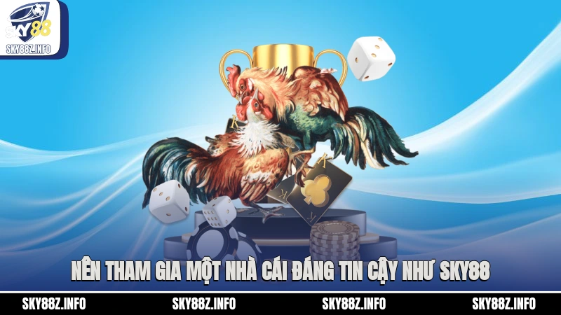 Nên tham gia một nhà cái đáng tin cậy như Sky88